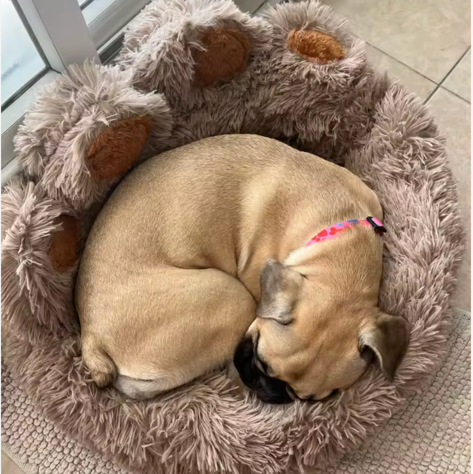 Lit en Peluche Confortable pour Chiens & Chats